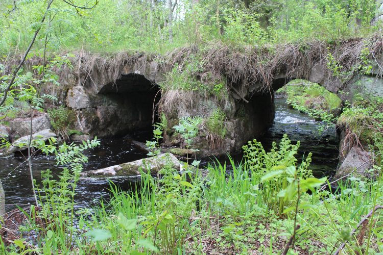 Финский мост на реке Семужья