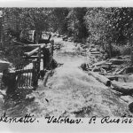 Порог Леметти, на ручье Койриноя. 1890г